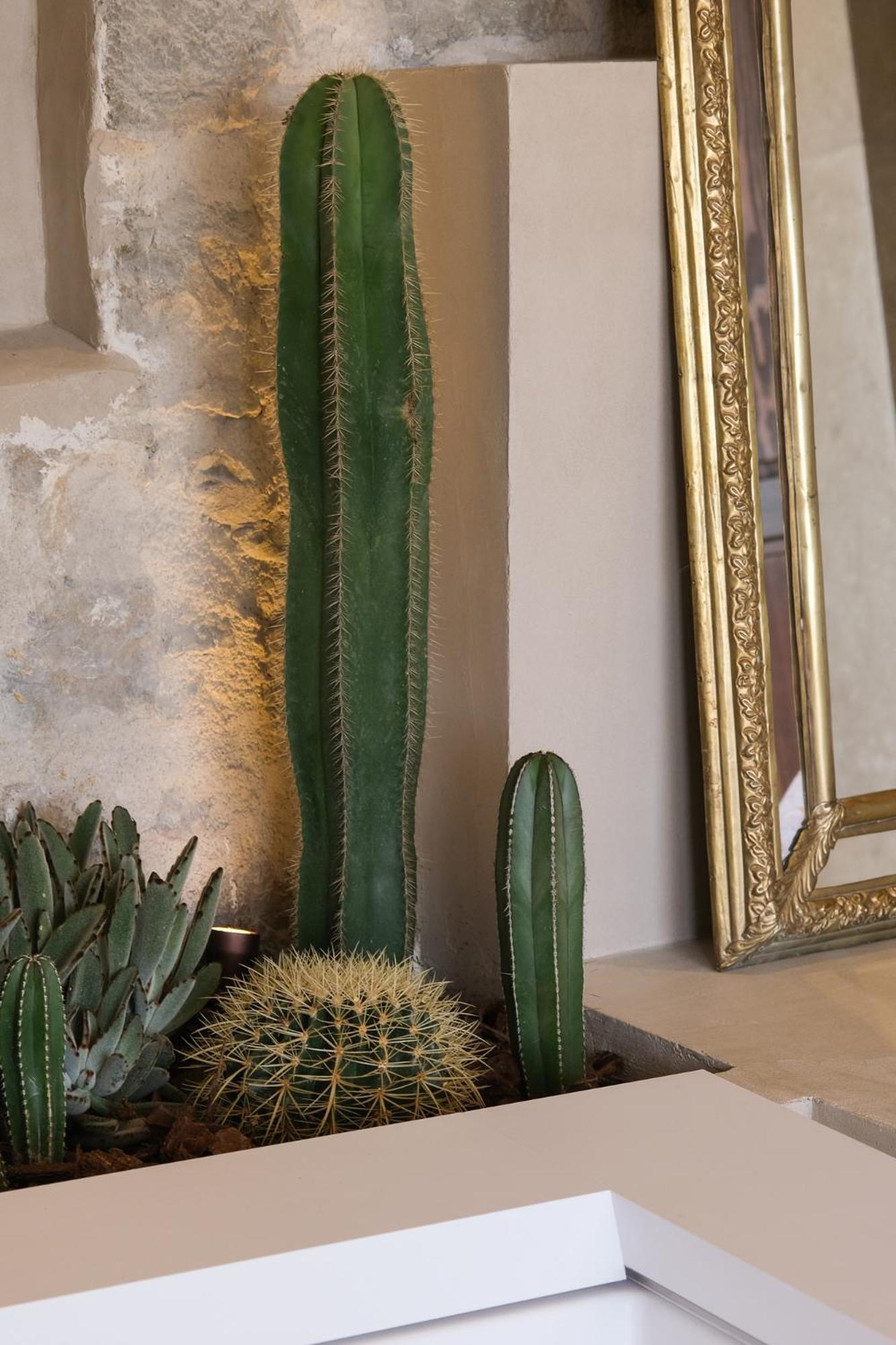 L'Abbaye Hotel La Colle-sur-Loup Ngoại thất bức ảnh